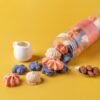 馬卡龍小餅乾 Macaron Cookie